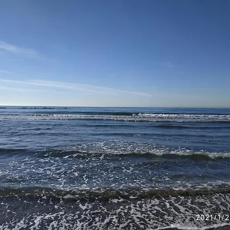 Nasa Palm 5 * Benalmadena